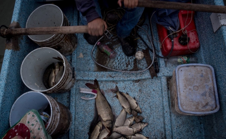 &iquest;Est&aacute;s listo? Ma&ntilde;ana inicia temporada de pesca en costas de M&eacute;xico