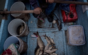 &iquest;Est&aacute;s listo? Ma&ntilde;ana inicia temporada de pesca en costas de M&eacute;xico
