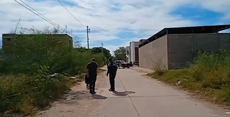 Ahora fue en Los Mochis, tiran feto humano de 7 meses de gestaci&oacute;n