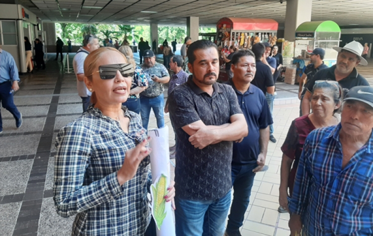 Maiceros de Sinaloa de Leyva quedan fuera del programa de comercializaci&oacute;n de cosechas
