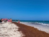 Sargazo comienza a invadir las playas del Caribe mexicano