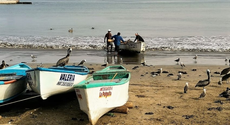 Pescadores de Playa Norte tiene ya 15 d&iacute;as sin trabajar por marejadas