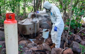 Desmantela la Semar 5 narcolaboratorios en Cosal&aacute; y 1 San Ignacio