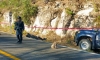&iexcl;Encobijado! Hallan cuerpo sin vida a orilla de la carretera libre Mazatl&aacute;n-Culiac&aacute;n