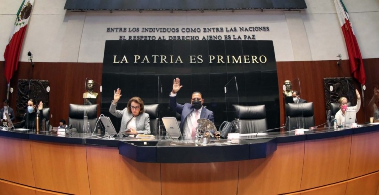 Senado aprueba reforma el&eacute;ctrica de AMLO.