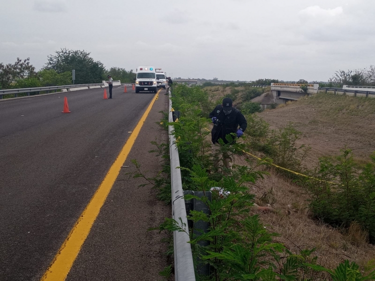 Horrible muerte de hidalguense arrollado en la autopista, en Culiac&aacute;n