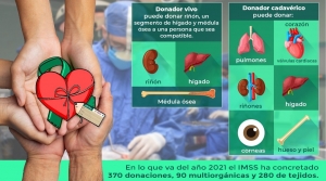 Realiza el IMSS el 46 por ciento de los trasplantes en M&eacute;xico