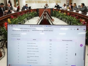 INE &lsquo;se traba&rsquo; en declaraci&oacute;n de validez de elecci&oacute;n judicial