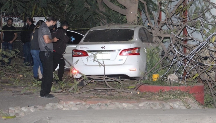 Fallece un hombre tras chocar con un &aacute;rbol de tabach&iacute;n en Culiac&aacute;n