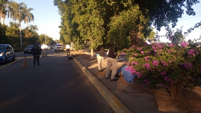 Tiran cuerpo de un hombre asesinado en camell&oacute;n de carretera Culiac&aacute;n-Navolato