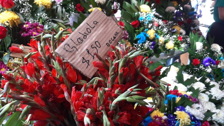 &ldquo;No como otros a&ntilde;os&rdquo; la venta de flores este D&iacute;a de los Angelitos: Do&ntilde;a Mary