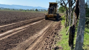 Muere trabajador arrollado por un tractor en una parcela junto al poblado La Michoacana