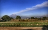 Volc&aacute;n Popocat&eacute;petl emite una explosi&oacute;n con columna de ceniza de casi 1 km