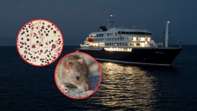 Emergencia sanitaria en &Aacute;frica Occidental: 3 muertos y cuarentena total en el crucero 'MV Hondius' por brote de hantavirus