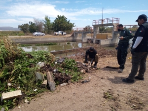 Torturado y con tiro en la espalda, tiran cad&aacute;ver en la salida sur de Culiac&aacute;n