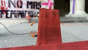 Culiac&aacute;n, uno de los municipios con mayor n&uacute;mero de homicidios dolosos contra mujeres en M&eacute;xico: SESNSP