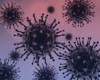 La SS inform&oacute; que se reportaron 88 nuevos casos de contagio del virus covid - 19 en Sinaloa