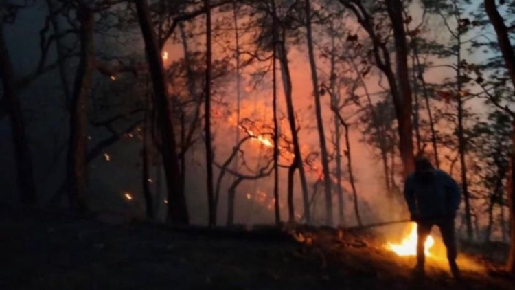 Incendios forestales arrasan con m&aacute;s de 24 mil hect&aacute;reas en Sinaloa; a&uacute;n persisten dos focos activos al Sur de la entidad