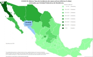 M&eacute;xico report&oacute; 2 mil 695 contagios, datos de Salud Federal