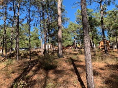 Teniente logr&oacute; escapar de levant&oacute;n en Surutato, Badiraguato
