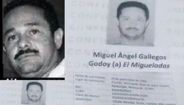 Los gobiernos de AMLO y Sheinbaum otorgaron permisos de exportaci&oacute;n de "El Migueladas", uno de los criminales m&aacute;s buscados