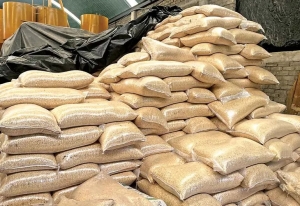 Ma&iacute;z mexicano cae en picada por importaci&oacute;n