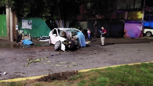 Choque contra un &aacute;rbol deja dos muertos y dos heridos