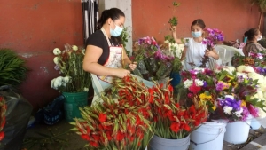 Se dispara el precio de la gladiola para los altares, reconocen floristas
