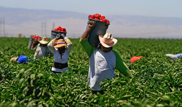 Agroempresarios prepar&aacute;n presupuesto al campo de 2021