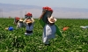 Agroempresarios prepar&aacute;n presupuesto al campo de 2021