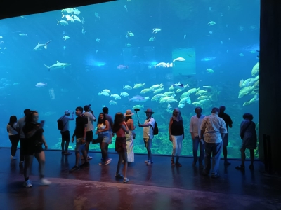 Los cruceristas se enamoran del Gran Acuario Mazatl&aacute;n
