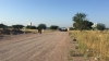 Dejan a otro joven asesinado a balazos en la periferia sur de Culiac&aacute;n