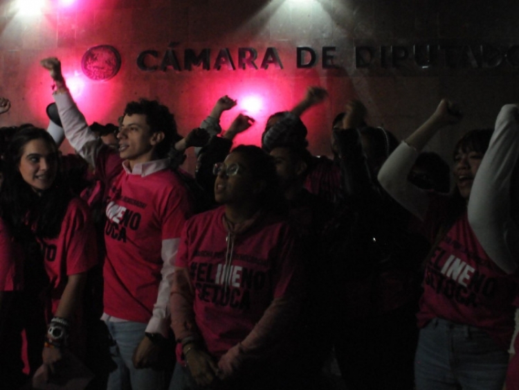 Realizan &lsquo;Velada Rosa&rsquo; afuera de la C&aacute;mara de Diputados por reforma electoral