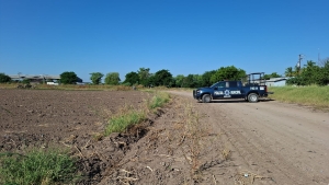 Matan a balazos a un hombre y tiran el cuerpo en una zona de cultivo en Villa Ju&aacute;rez, en Navolato