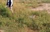 Con una hora de diferencia, hallan a otro joven torturado y asesinado, en Culiac&aacute;n