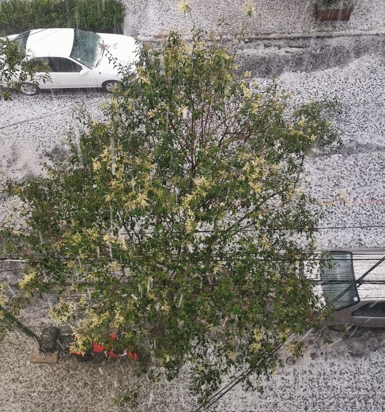 Azota fuerte granizada a la CDMX deja 10 alcald&iacute;as afectadas