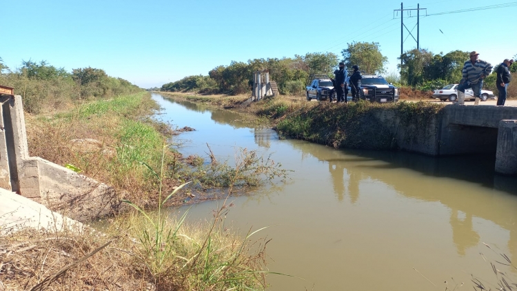 Flota cad&aacute;ver en canal de riego del Ejido Buenos Aires, de Navolato