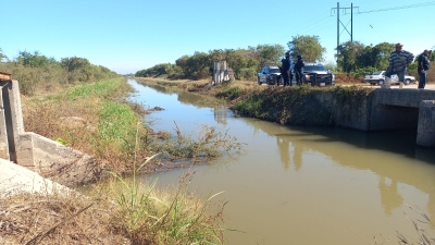 Flota cad&aacute;ver en canal de riego del Ejido Buenos Aires, de Navolato