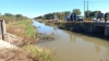 Flota cad&aacute;ver en canal de riego del Ejido Buenos Aires, de Navolato