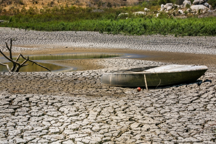 Crisis clim&aacute;tica en M&eacute;xico: No estamos preparados para enfrentar sus efectos