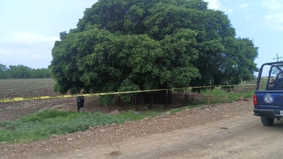 Un hombre es asesinado debajo de un &aacute;rbol en las cercan&iacute;as del Seminario