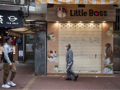 Hong Kong ordena sacrificio de 2 mil h&aacute;msters tras brote covid en tienda de mascotas