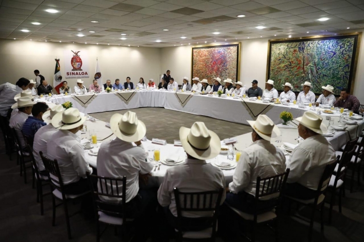 Precio de garant&iacute;a al ma&iacute;z da certidumbre a los productores: Quirino