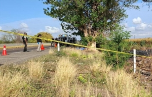 2 hombres son hallados asesinados junto a un &aacute;rbol, en el Rancho de Balbuena, en Navolato