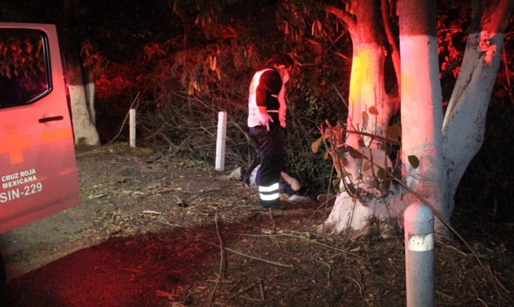 Un hombre result&oacute; herido al chocar con un &aacute;rbol en la autopista en Culiac&aacute;n