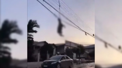 Cicl&oacute;n apocal&iacute;ptico deja ovejas colgadas de los cables de luz en Brasil: hay 28 personas muertas tambi&eacute;n y 1,600 casas afectadas
