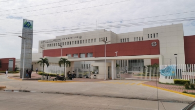 Madre pide atenci&oacute;n para su hijo mordido por una ara&ntilde;a violinista