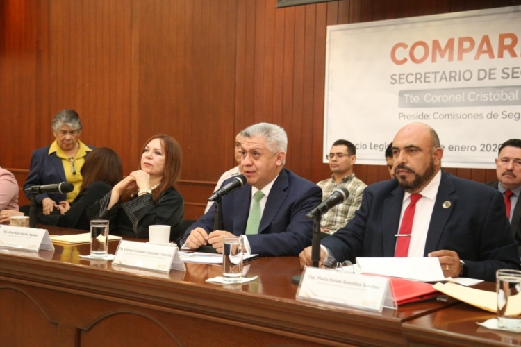 Sin polic&iacute;as para cubrir las 3 mil solicitudes de protecci&oacute;n: Casta&ntilde;eda