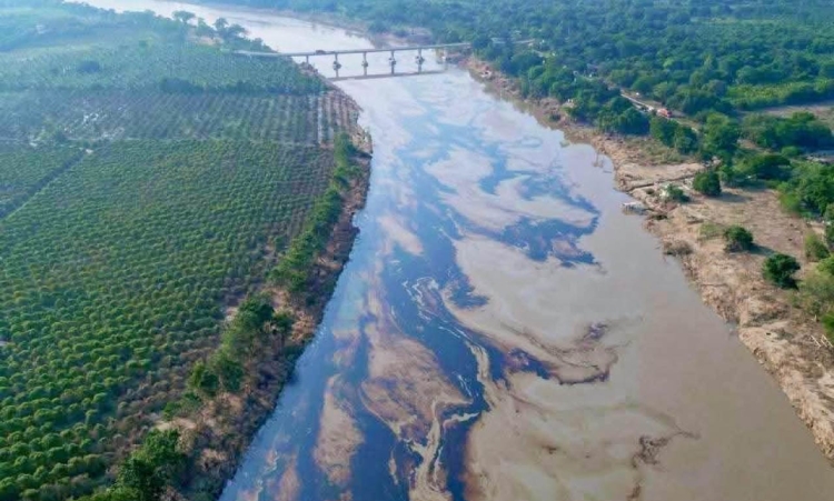 Greenpeace se&ntilde;al&oacute; que el ocultamiento del derrame represent&oacute; &ldquo;una negligencia con consecuencias&rdquo;