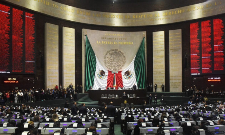 Conoce a los candidatos a una diputaci&oacute;n federal